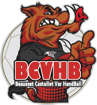 BCVHB logo